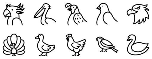 Birds Icon Set Elegant Line Style Collection for Avian Enthusiasts vector