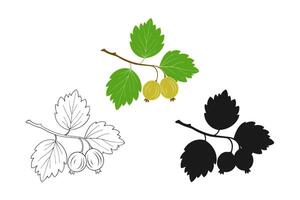 Gooseberries set drawing, branch with leaves and berries, contour silhouette and color drawing, logo, icon, isolated on white background vector