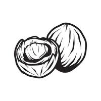 two coconuts line art sketch classic vintage design illustration vector