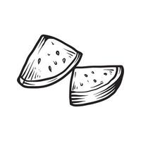 two slide of the watermelons line art sketch classic vintage design illustration vector