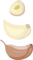 Peeling and cut garlic step by step vector