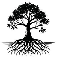Mangrove Tree roots visible in a coastal setting silhouette on white background vector