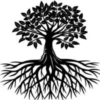 Mangrove Tree roots visible in a coastal setting silhouette on white background vector