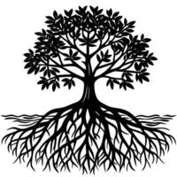 Mangrove Tree roots visible in a coastal setting silhouette on white background vector