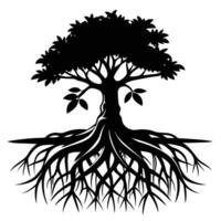 Mangrove Tree roots visible in a coastal setting silhouette on white background vector