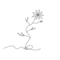 Beautiful flower one line continuous drawing style isolated illustration. vector