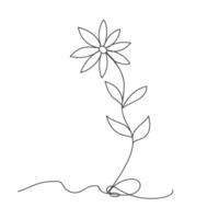 Beautiful flower one line continuous drawing style isolated illustration. vector