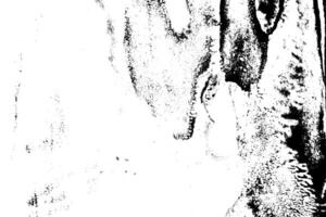 Abstract grunge black and white distressed texture background photo
