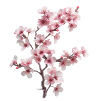 Pink cherry blossom on transparent Background Generative-AI png