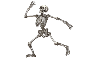 A skeleton is shown in a pose, with its arms raised png