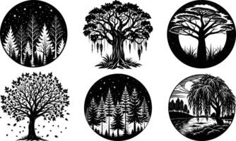 Tree silhouette with a split trunk in a mystical forest vector