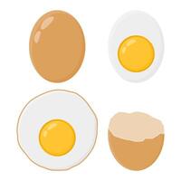 Fried Egg Eggshell Design. Whole Egg Illustration. Egg Dish Collection. vector