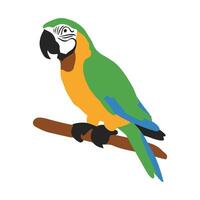 Yellow-blue parrot in flat style. Colorful exotic bird on a white background. vector