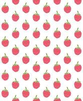 Seamless pattern of sketch raspberry vector