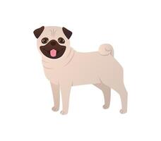 Pug cartoon illustration. Dog character in flat style isolated on white background. Pet purebred puppy vector