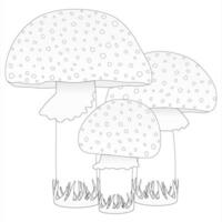 Childrens coloring books. three fly agaric in the gras, fall. black and white drawing vector
