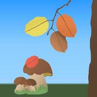 Three mushrooms are standing in the grass, above them is a branch with autumn leaves, a tree stands nearby. Blue sky, green grass. color drawing vector