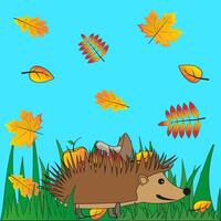 A hedgehog in the grass and fall leaves, fall. color drawing vector