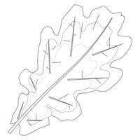 Detailed fall leaves coloring page featuring oak, maple, and rowan leaves. Perfect for autumn-themed creative projects and activities. vector