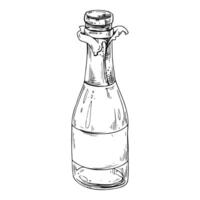 A open bottle with champagne, a wrapper and an empty white label. Line art is a simple hand-drawn illustration in black and white ink. Isolated EPS object. vector