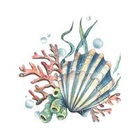 Sea shell, coral, sea sponge, algae, pebbles and bubbles. Hand drawn watercolor illustration on the theme of sea animals and the underwater world. Composition isolated from the background. vector