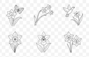 Print Exquisite Daffodil Line Art Set Detailed Floral Illustrations for Elegant Designs and Botanical Art vector