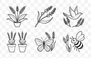 Print Lavender Line Art Set Intricate and Elegant Designs for Creative Projects and Artwork vector