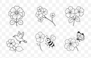 Print Collection of Elegant Geranium Flower Line Art Illustrations vector