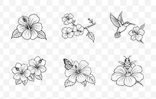 Print Elegant Hibiscus Line Art Set Perfect for Floral Design and Botanical Illustrations vector