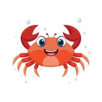 Crabs Fascinating Crustaceans with Hard Shells and Pincers vector