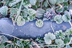 Selective focus. First frost on a frozen black plastic water pipe, late autumn close-up. Beautiful abstract frozen microcosmos pattern. Freezing weather frost action in nature. Winter backdrop. photo