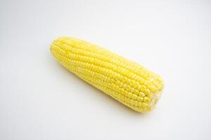 Single sweet corn. fresh corn. isolated on white background photo