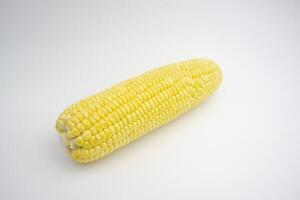 Single sweet corn. fresh corn. isolated on white background photo