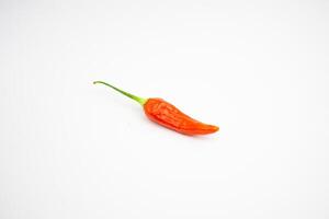 Single red cayenne pepper. typical Indonesian, isolated on a white background. photo