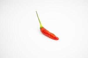 Single red cayenne pepper. typical Indonesian, isolated on a white background. photo