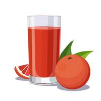 Full glass of red freshly and healthy squeezed grapefruit juice isolated on white background. illustration in flat style with citrus drink. Summer clipart for card, banner, flyer, poster design vector