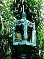 old vintage street lamp at the park with lush green foliage background. The lamp is broken photo