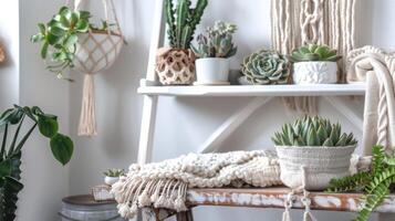 A whimsical display of succulents and cacti arranged on a modern white ladder shelf accented by a macrame wall hanging and a cozy throw blanket dd over a rustic wooden bench photo