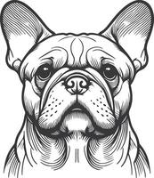 Line art French bulldog illustration. Ink style, cute animal for print linear silhouette. vector