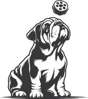 bulldog with Balancing a treat on the nose silhouette design. vector
