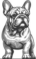 Line art French bulldog illustration. Ink style, cute animal for print linear silhouette. vector