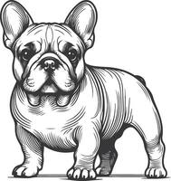 Line art French bulldog illustration. Ink style, cute animal for print linear silhouette. vector