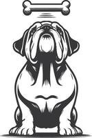 bulldog with Balancing a treat on the nose silhouette design. vector