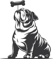 bulldog with Balancing a treat on the nose silhouette design. vector