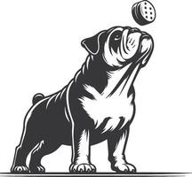 bulldog with Balancing a treat on the nose silhouette design. vector