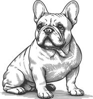 Line art French bulldog illustration. Ink style, cute animal for print linear silhouette. vector