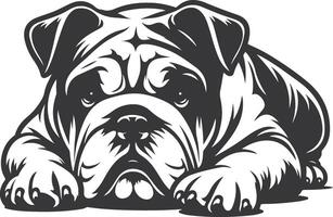 Bulldog Lying Down Stencil Silhouette desing. vector