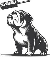 bulldog with Balancing a treat on the nose silhouette design. vector