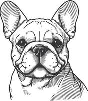 Line art French bulldog illustration. Ink style, cute animal for print linear silhouette. vector