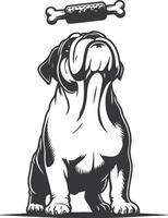 bulldog with Balancing a treat on the nose silhouette design. vector